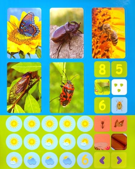 Фотография книги "Наталья Литвиненко: Насекомые. Сборник развивающих заданий с наклейками. Загадки, пословицы, скороговорки. 40 заданий"