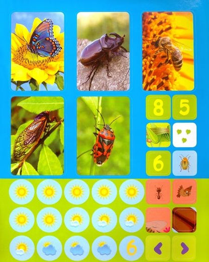 Фотография книги "Наталья Литвиненко: Насекомые. Сборник развивающих заданий с наклейками. Загадки, пословицы, скороговорки. 40 заданий"