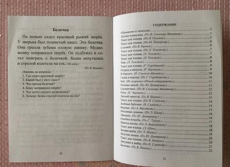 Фотография книги "Наталья Лободина: Чтение. 1 класс. Проверка техники и выразительности чтения. ФГОС"