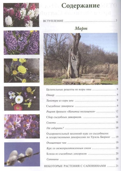 Фотография книги "Наталья Лойтнант: 12 месяцев в аптекарском огороде"