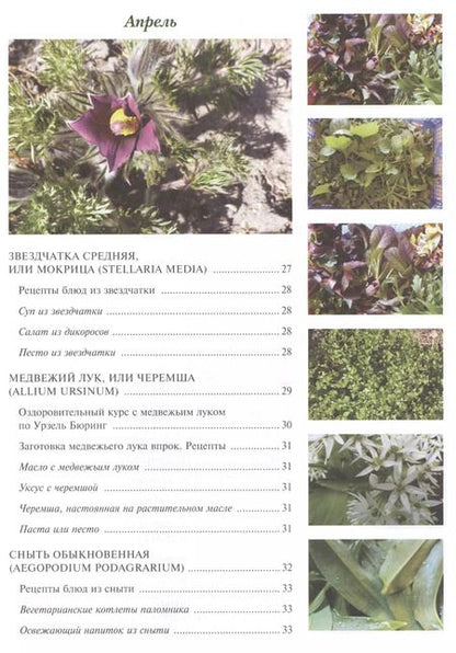 Фотография книги "Наталья Лойтнант: 12 месяцев в аптекарском огороде"