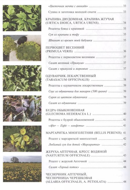 Фотография книги "Наталья Лойтнант: 12 месяцев в аптекарском огороде"