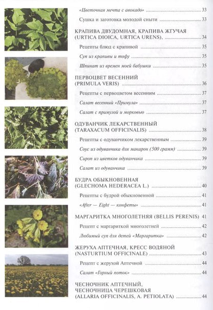 Фотография книги "Наталья Лойтнант: 12 месяцев в аптекарском огороде"