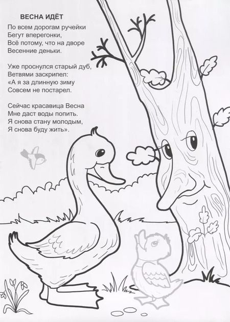 Фотография книги "Наталья Мигунова: Весна - красавица"