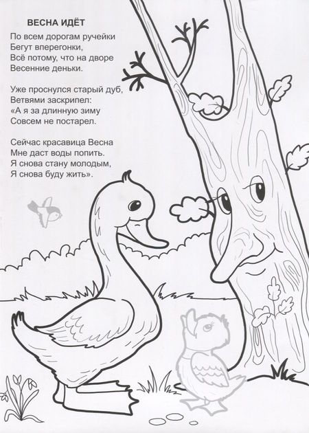 Фотография книги "Наталья Мигунова: Весна - красавица"