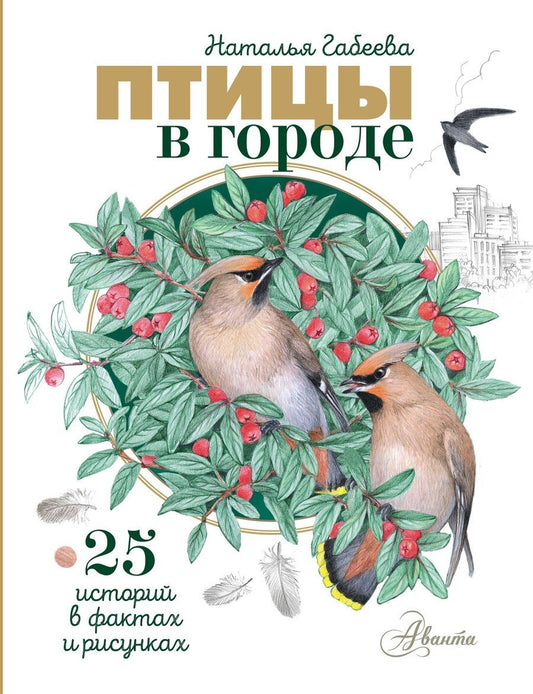 Обложка книги "Наталья Михайловна: Птицы в городе. 25 историй в фактах и рисунках"