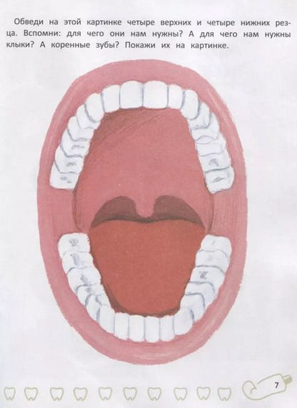 Фотография книги "Наталья Оденбах: Зубки малютки. Все об уходе за твоими зубами"