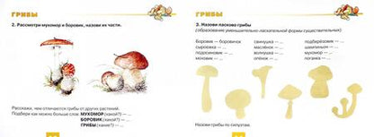 Фотография книги "Наталья Русланова: Дидактический материал "Деревья и кустарники. Грибы" для развития детей 5-7 лет"
