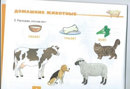 Фотография книги "Наталья Русланова: Дидактический материал для развития лексико-грамматических категорий у детей 5-7 лет. Животные"