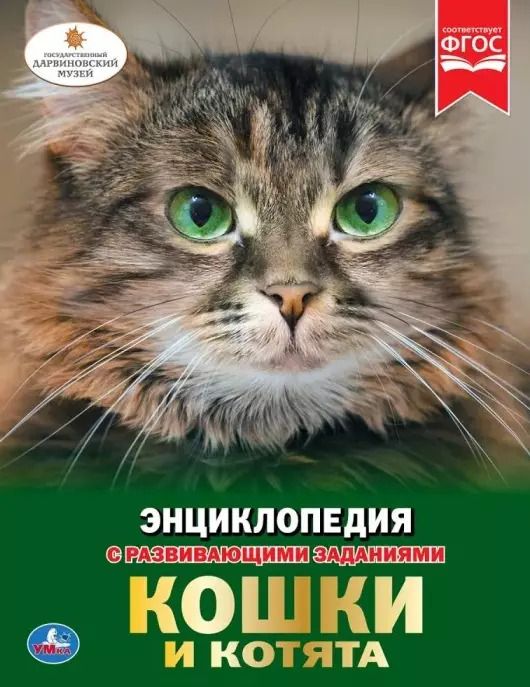 Обложка книги "Наталья Седова: Кошки и котята. Энциклопедия с развивающими заданиями"