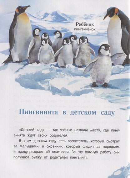 Фотография книги "Наталья Сергеевна: Павлиненок? Цыпленок! Крылатые семьи: факты и игры"