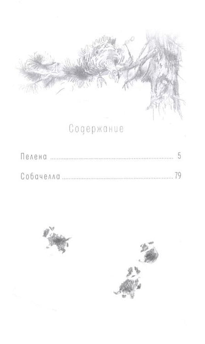 Фотография книги "Наталья Шицкая: Пелена. Собачелла: повести"