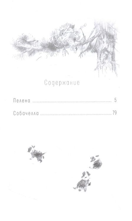 Фотография книги "Наталья Шицкая: Пелена. Собачелла: повести"