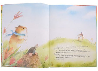 Фотография книги "Наталья Шицкая: Радуга для Чудика. Сказка"