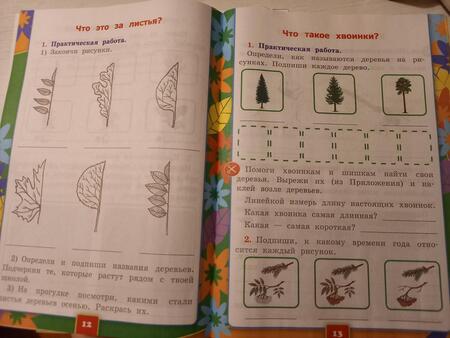 Фотография книги "Наталья Соколова: Окружающий мир. 1 класс. Рабочая тетрадь. Часть 1. К учебнику А.А. Плешакова. ФГОС"