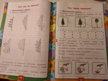 Фотография книги "Наталья Соколова: Окружающий мир. 1 класс. Рабочая тетрадь. Часть 1. К учебнику А.А. Плешакова. ФГОС"