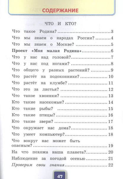 Фотография книги "Наталья Соколова: Окружающий мир. 1 класс. Рабочая тетрадь №1. К учебнику А.А. Плешакова"