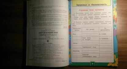 Фотография книги "Наталья Соколова: Окружающий мир. 2 класс. Рабочая тетрадь к учебнику А.А. Плешакова. Часть 2. ФГОС"