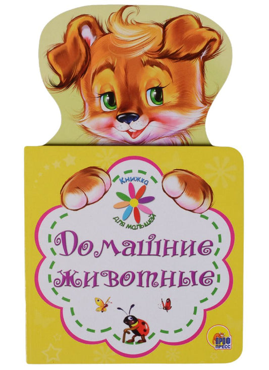 Обложка книги "Наталья Ушкина:  Домашние животные"