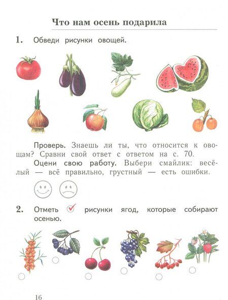 Фотография книги "Наталья Виноградова: Окружающий мир. 1 класс. Тетрадь для проверочных работ. В 2-х частях. Часть 1. ФГОС"