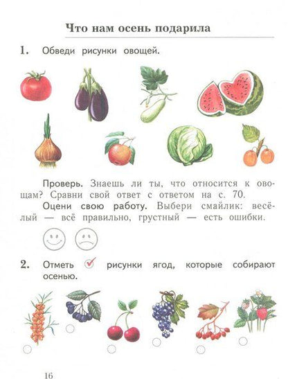 Фотография книги "Наталья Виноградова: Окружающий мир. 1 класс. Тетрадь для проверочных работ. В 2-х частях. Часть 1. ФГОС"