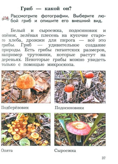 Фотография книги "Наталья Виноградова: Окружающий мир. 2 класс. Учебное пособие. В 2-х частях. Часть 2. ФГОС"