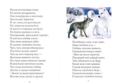 Фотография книги "Наталья Завершинская: Сказка о сером волчонке"