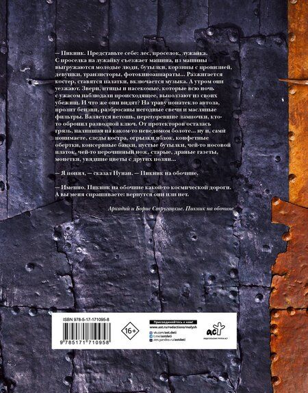 Фотография книги "Натанович, и: Пикник на обочине"