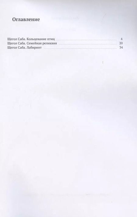 Фотография книги "Наташа Богиня: Щегол Саба"