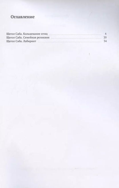 Фотография книги "Наташа Богиня: Щегол Саба"