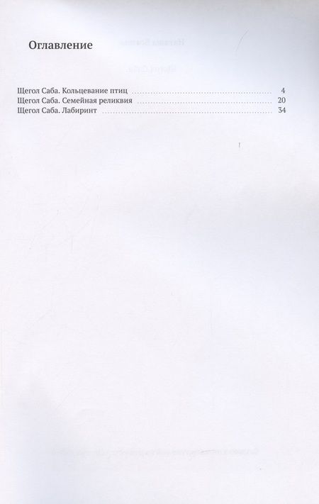 Фотография книги "Наташа Богиня: Щегол Саба"