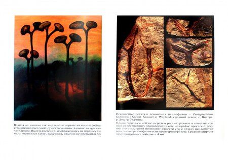 Фотография книги "Наугольных: Встречи с доисторическими мирами"