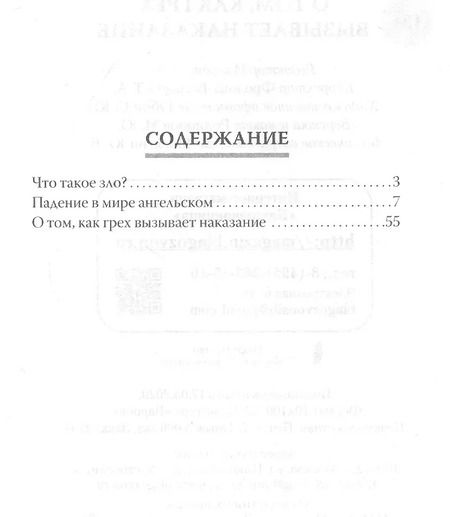 Фотография книги "Наум Байбородин: О том, как грех вызывает наказание"
