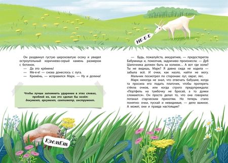 Фотография книги "Назарова: В долине ударений"