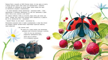 Фотография книги "Небель: Ой! Кто такой?"