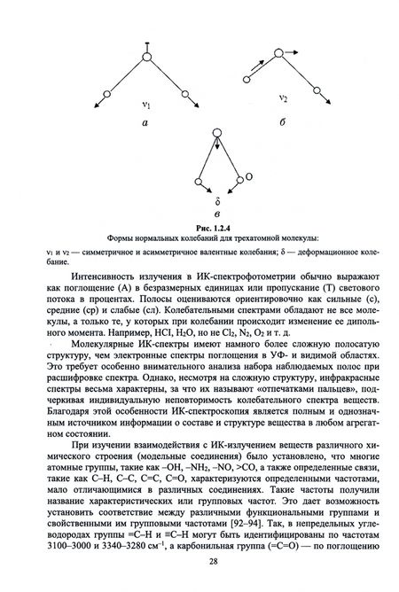 Фотография книги "Нечипоренко, Нечипоренко, Орехова: Биофизика. Оптические свойства биологических тканей животного и растительного происхождения"