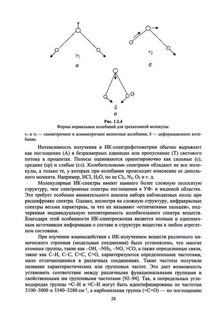 Фотография книги "Нечипоренко, Нечипоренко, Орехова: Биофизика. Оптические свойства биологических тканей животного и растительного происхождения"