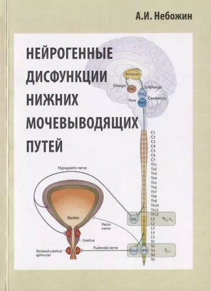 Обложка книги "Нейрогенные дисфункции нижних мочевыводящих путей"