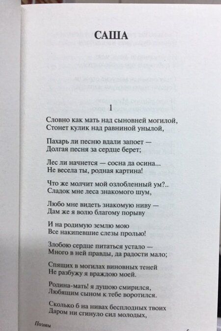 Фотография книги "Некрасов: Кому на Руси жить хорошо"