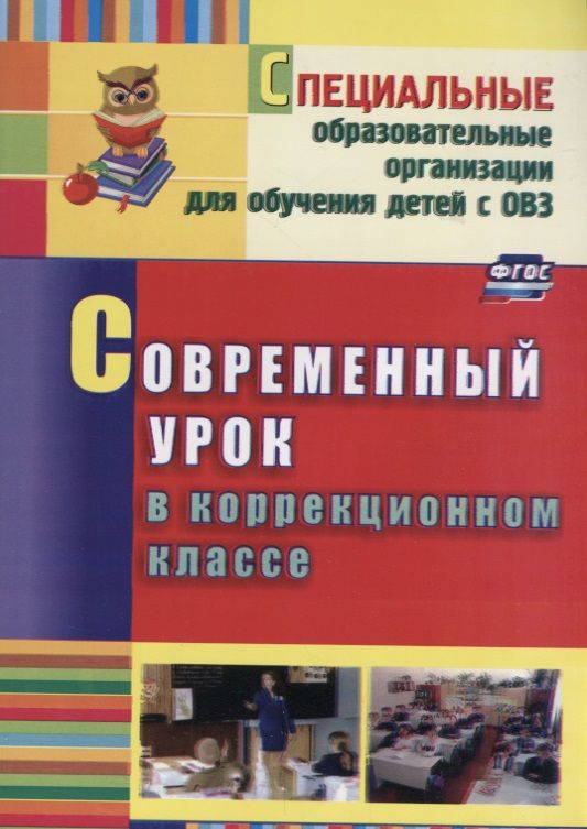 Обложка книги "Нелипенко: Современный урок в коррекционном классе"