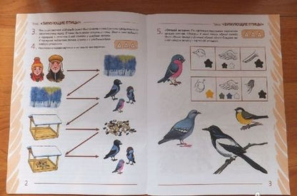 Фотография книги "Нелли Арбекова: Развиваем связную речь у детей 4-5 лет с ОНР. Альбом 2. Мир животных"