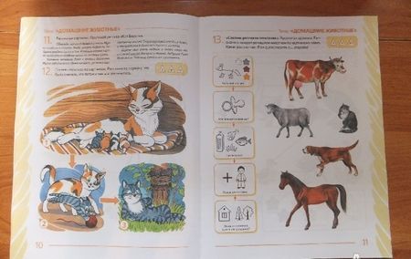 Фотография книги "Нелли Арбекова: Развиваем связную речь у детей 4-5 лет с ОНР. Альбом 2. Мир животных"