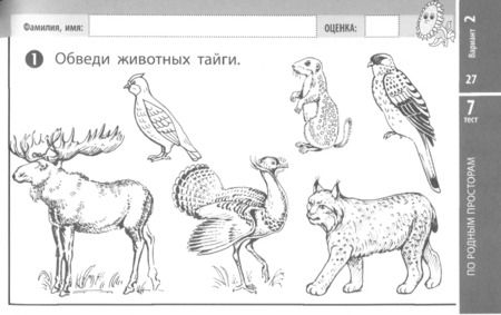 Фотография книги "Немцева, Чалая: Окружающий мир. 4 класс. Экспресс-контроль. ФГОС"