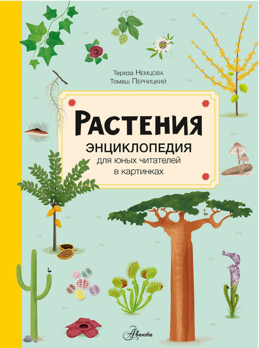 Обложка книги "Немцова: Растения"