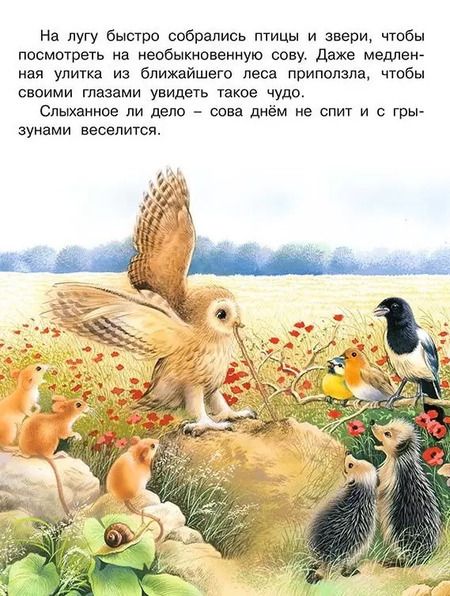 Фотография книги "Необыкновенная Сова Маня (мПозЧт) Гурина"