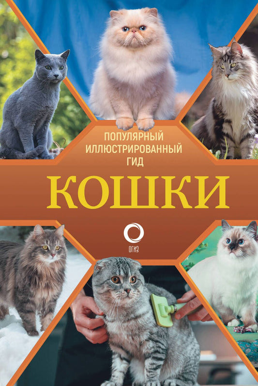 Обложка книги "Непомнящий: Кошки"