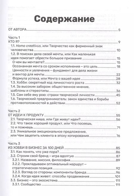 Фотография книги "Неслучайная идея:от проекта к делу:из хобби в бизнес за 100 дней"