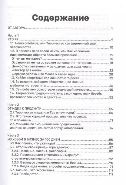 Фотография книги "Неслучайная идея:от проекта к делу:из хобби в бизнес за 100 дней"