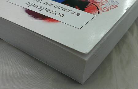 Фотография книги "Нестерова: Двое, не считая призраков"