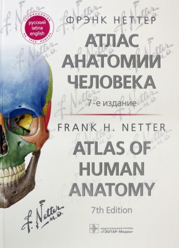 Обложка книги "Неттер: Атлас анатомии человека. Терминология на русском, латинском и английском языках"